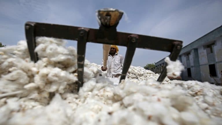 印度的棉花产量可能会达到9年的低，遏制出口