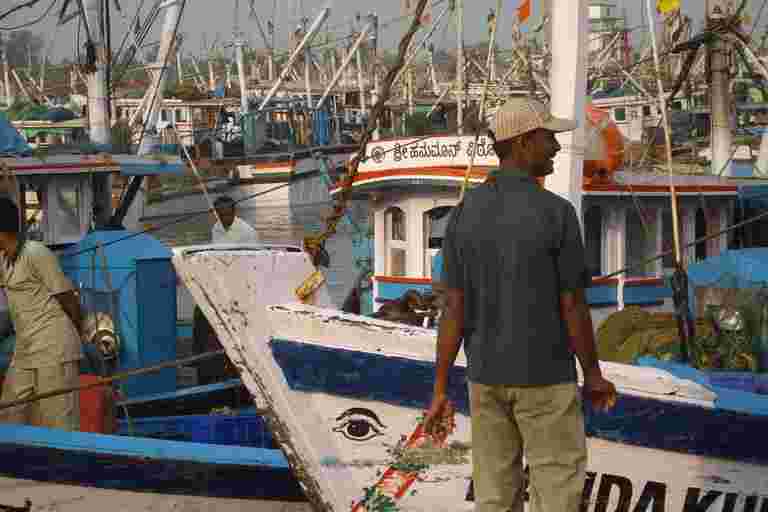 鱼粉和鱼油产业对印度捕鱼部门构成威胁