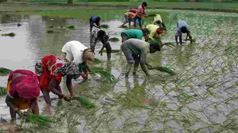 旁遮普预算：政府称，将放弃价值1,186亿卢比的1.13 Lakh农民的贷款